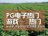 种植基地五(图1)