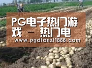 种植基地八