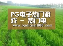 种植基地四