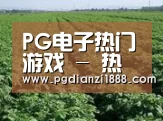 种植基地五