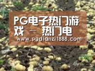 种植基地八(图1)